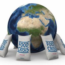 Crisis alimentarias en África