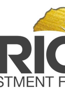 Fondo de Inversión Africano