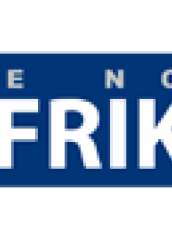 Afrik.com