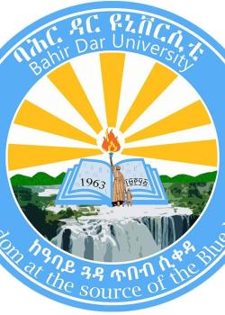 Bahir Dar University