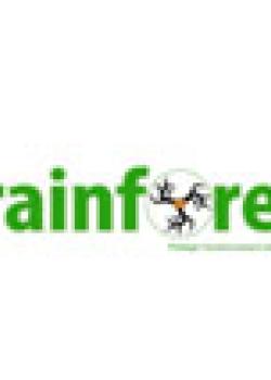 Brainforest
