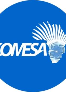 Mercado Común de África del Sur y del Este Mercado Común de África del Sur y del Este