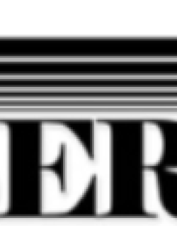Daily Observer Daily Observer