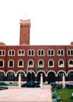 Universidad de Alejandría
