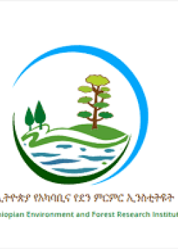 Ethiopian Environmental and Forestry Reasearch Institute (EEFRI) Ethiopian Environmental and Forestry Reasearch Institute (EEFRI)