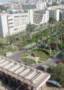 Universidad de Mansoura