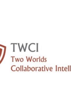 Two Wordls Collaborative Intelligence