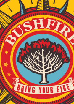 MTN Bushfire Festival