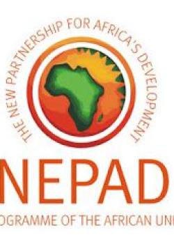 Nueva Alianza para el Desarrollo de África (NEPAD)