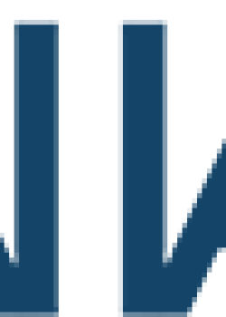 SAIIA (The South African Institute of International Affairs)