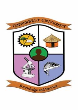 The Copperbelt University