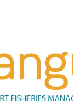 WANGUMAR SLU