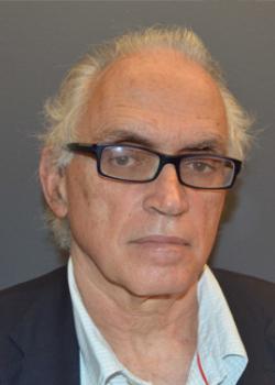 Fernando Castro Borrego