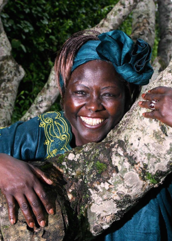 Wangari Muta Maathai