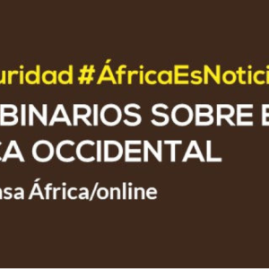 Piratería y robo a mano armada de buques en el Golfo de Guinea, por Lydelle Joubert