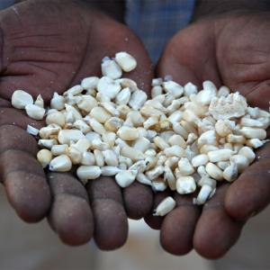 Casa África presenta en la Universidad de Sevilla la obra galardonada con su último Premio de Ensayo