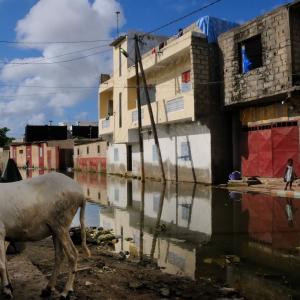 Elise Fitte Duval, premio Casa África 2011 de la Bienal de Fotografía de Bamako