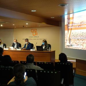Más de 5.000 elementos del patrimonio cultural canario provienen de África