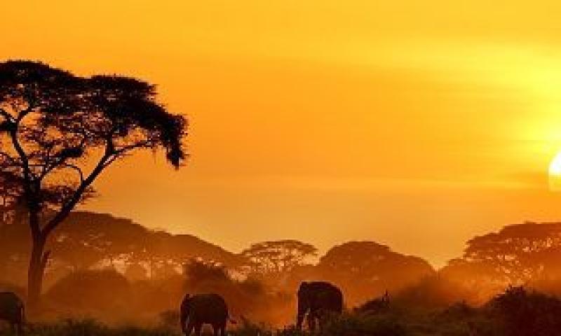 Contar África desde Europa