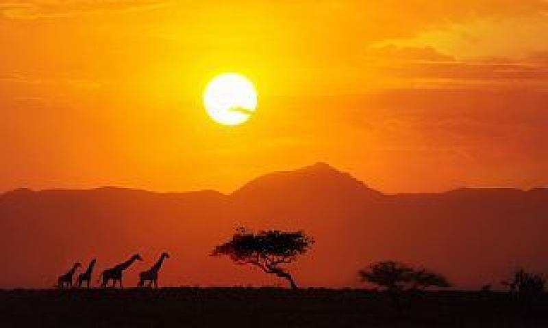 Innovation 4 Africa