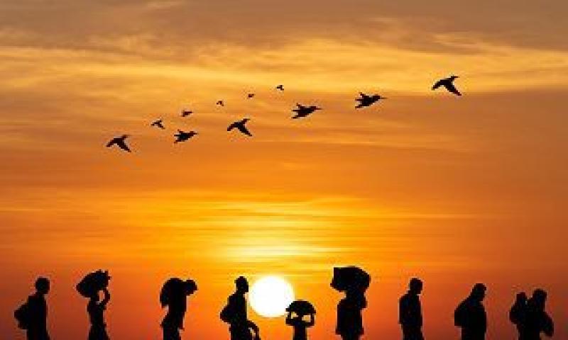 Las raíces africanas de la migración