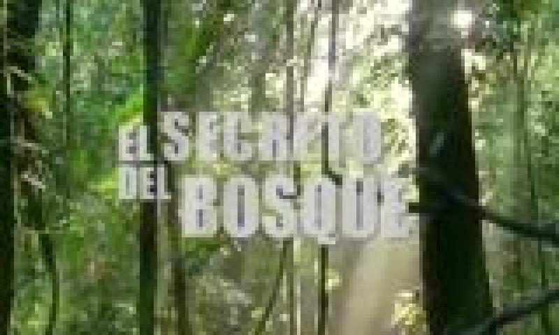 El secreto del Bosque