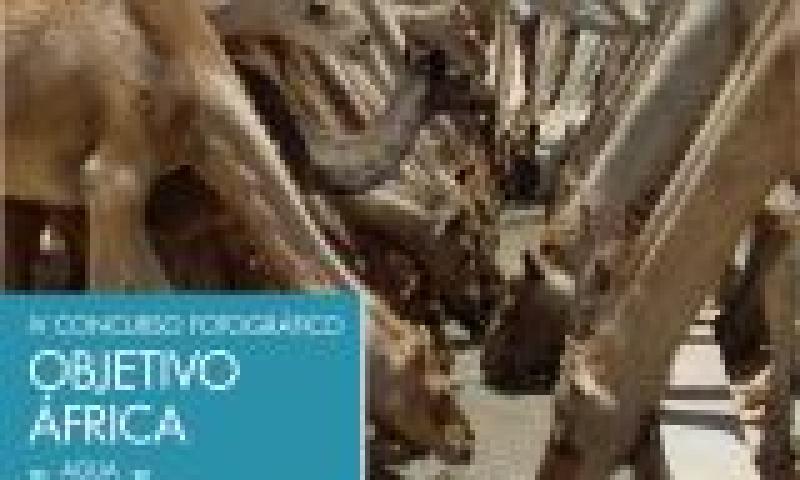 IV Concurso Fotográfico 'Objetivo África'