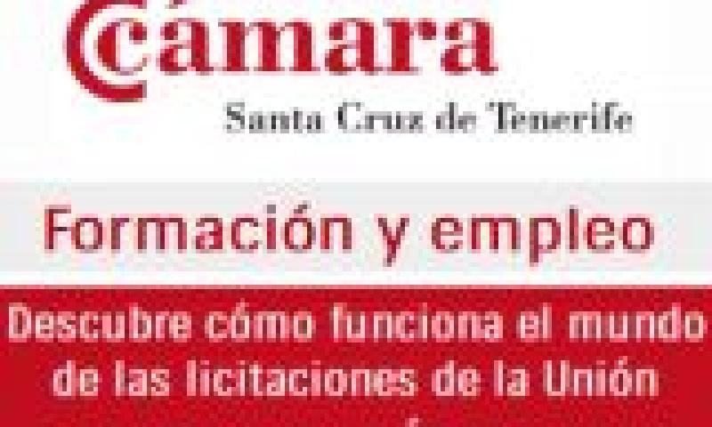 Descubre cómo funciona el mundo de las licitaciones de la Unión Europea en África