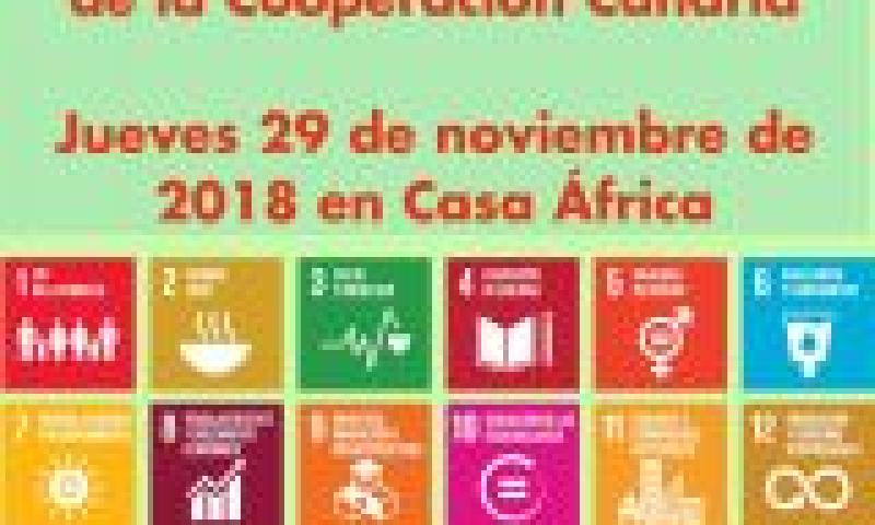Taller participativo: construyendo el Plan Director de Cooperación Canaria
