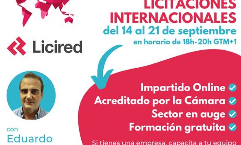 Curso Introductorio de Licitaciones Internacionales