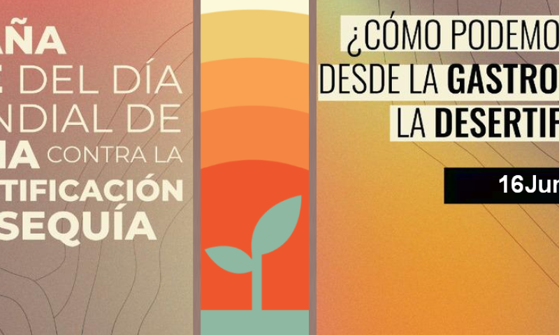 Día Mundial de la lucha contra la Desertificación y la sequía
