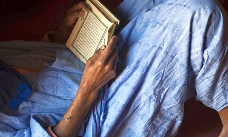 EL CORAZÓN Y EL CÁLAMO. La ciudad, los manuscritos y las familias