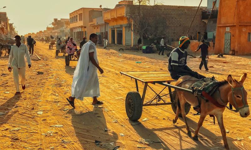 Mesa redonda: Memoria y actualidad del arte en Mauritania