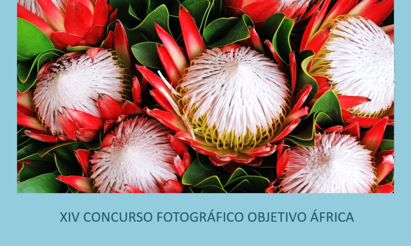 XIV Concurso Fotográfico 'Objetivo África': Biodiversidad en África