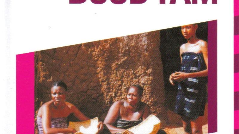 Buud Yam : les étalons de Yennenga : grands prix du Fespaco 1972-2005