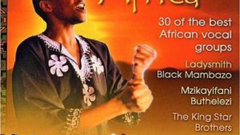 Exotic voices from Africa : 30 of the best african vocal groups