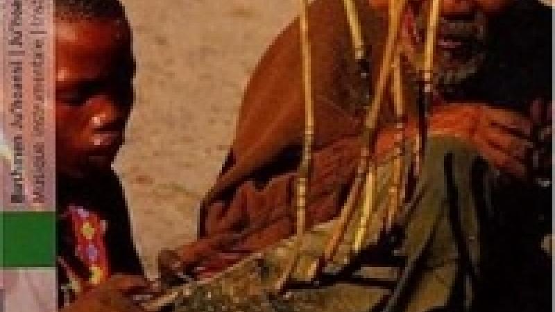 Bushmen ju'hoansi. Musique instrumentale