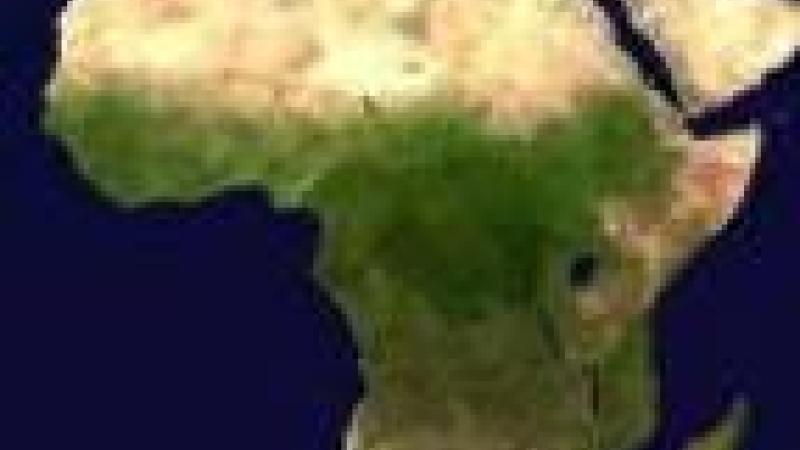 Reunión del Consejo Asesor para la Promoción del Comercio con África Occidental (Capcao)
