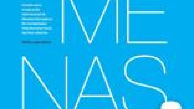 MENAS Estudio sobre la migración internacional de Menores Extranjeros No Acompañados Subsaharianos hacia las Islas Canarias : perfil y expectativas