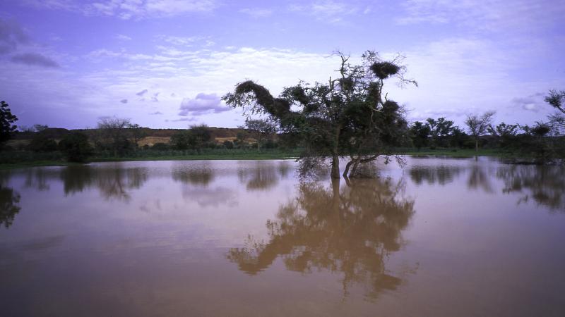 Proyecto Soutoura: Paisajes