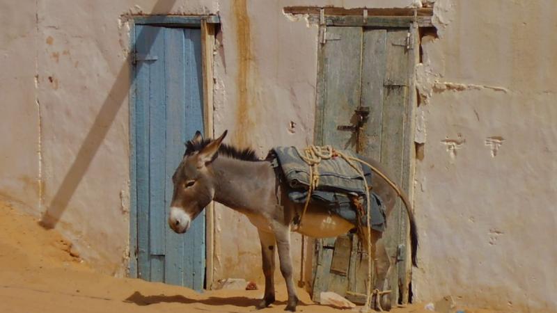 Chinguetti , Mauritania