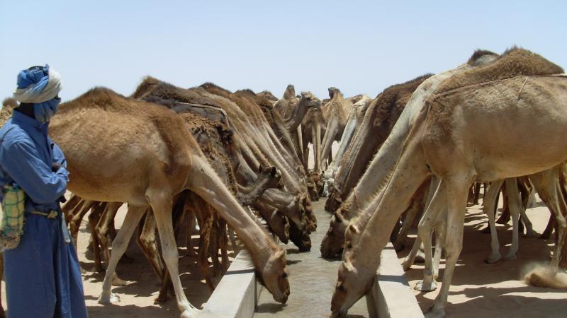 Boulanoir , Mauritania