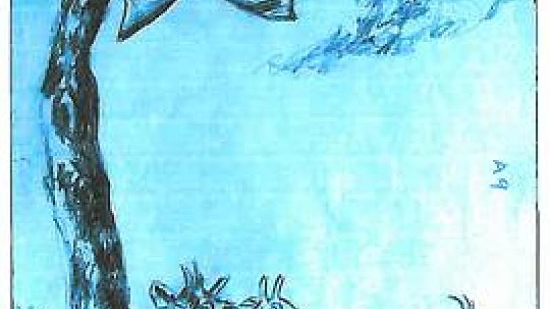 Cuentos de Zimbabwe. El murciélago y la cabra