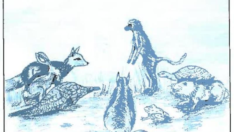 Cuentos de Zimbabwe. La liebre, la tortuga y otros animales