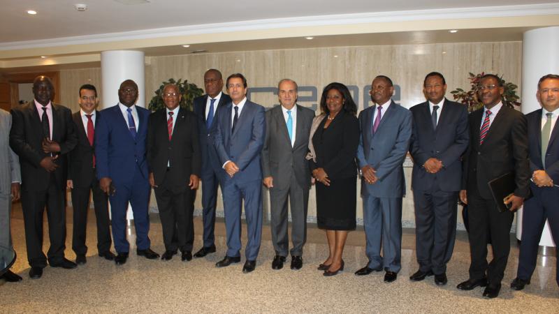 African Economic Outlook (AEO)