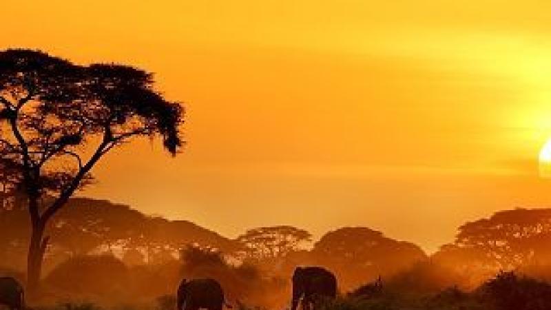 Contar África desde Europa