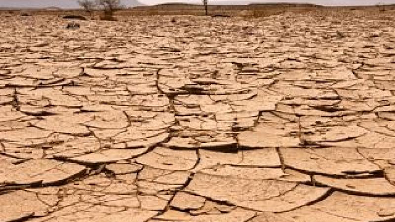 Emprendimiento verde en África