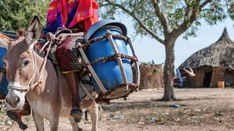 Libro «Historia de Somalia»