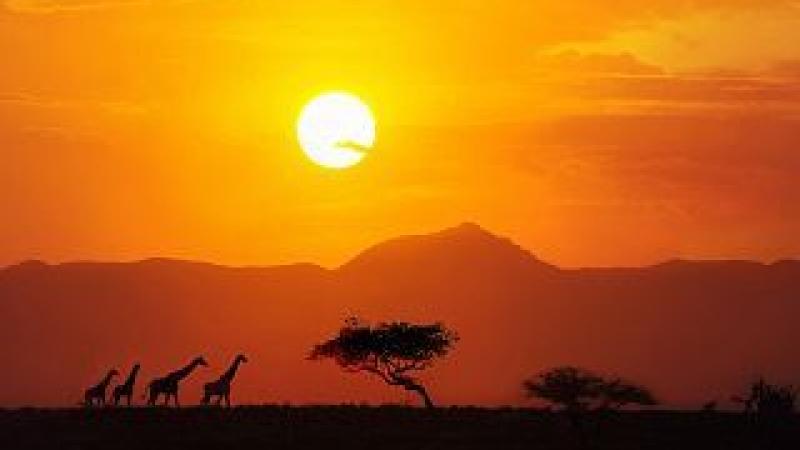 Innovation 4 Africa