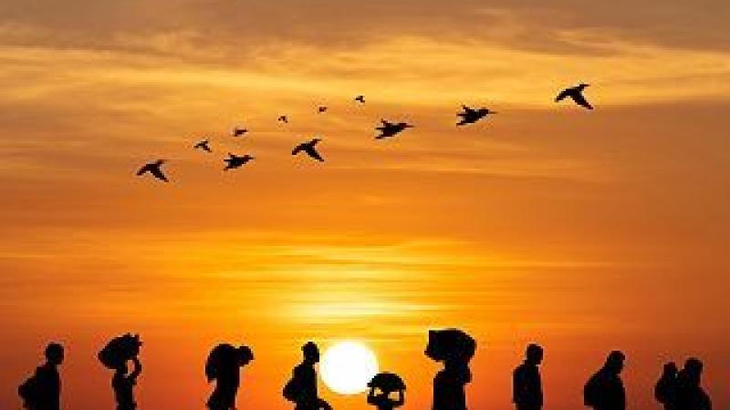 Las raíces africanas de la migración